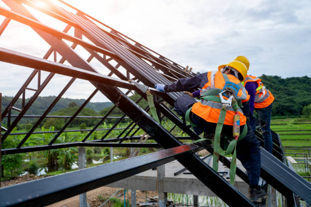 Best Affordable Roof Replacement  in Glencoe, MN