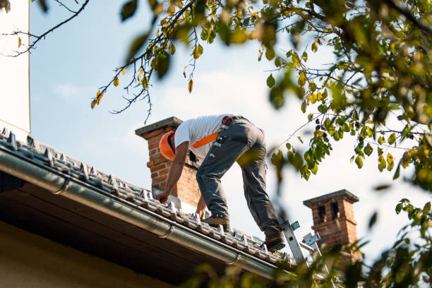 Best Residential Roofing Contractor  in Glencoe, MN