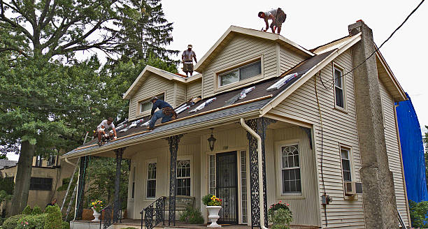 Best New Roof Installation  in Glencoe, MN