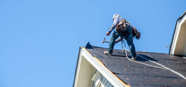 Best Residential Roofing Contractor  in Glencoe, MN