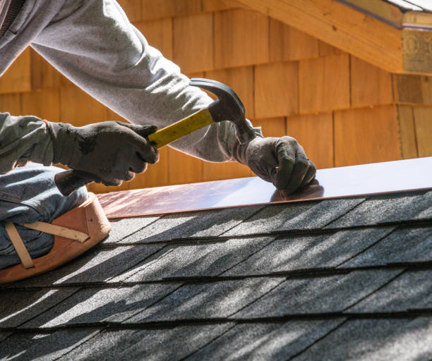 Best Roof Repair Services  in Glencoe, MN